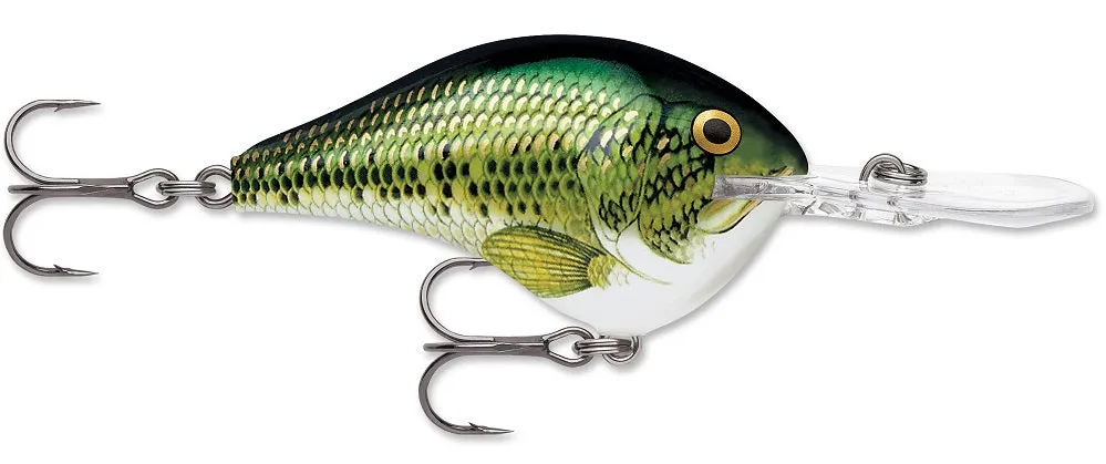 Rapala DT Series Crankbait DT8